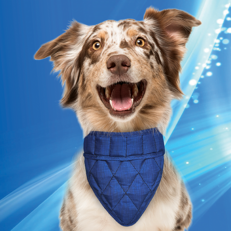 Aqua Coolkeeper kylbandana - Bild 5