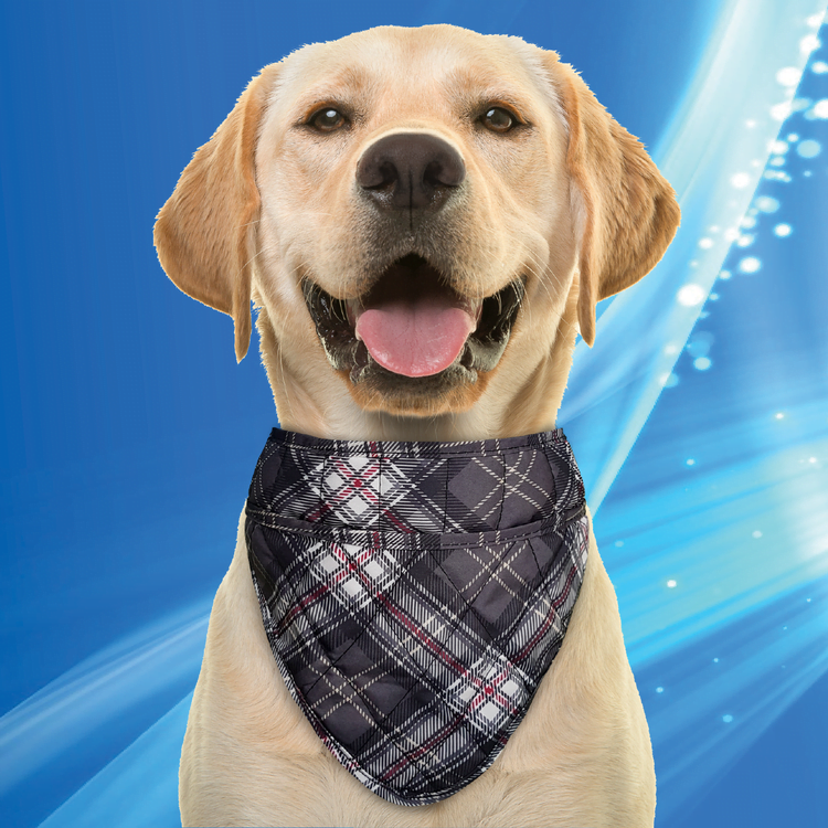 Aqua Coolkeeper kylbandana - Bild 3