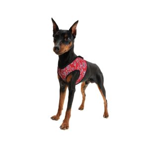Aqua Coolkeeper Comfy Harness