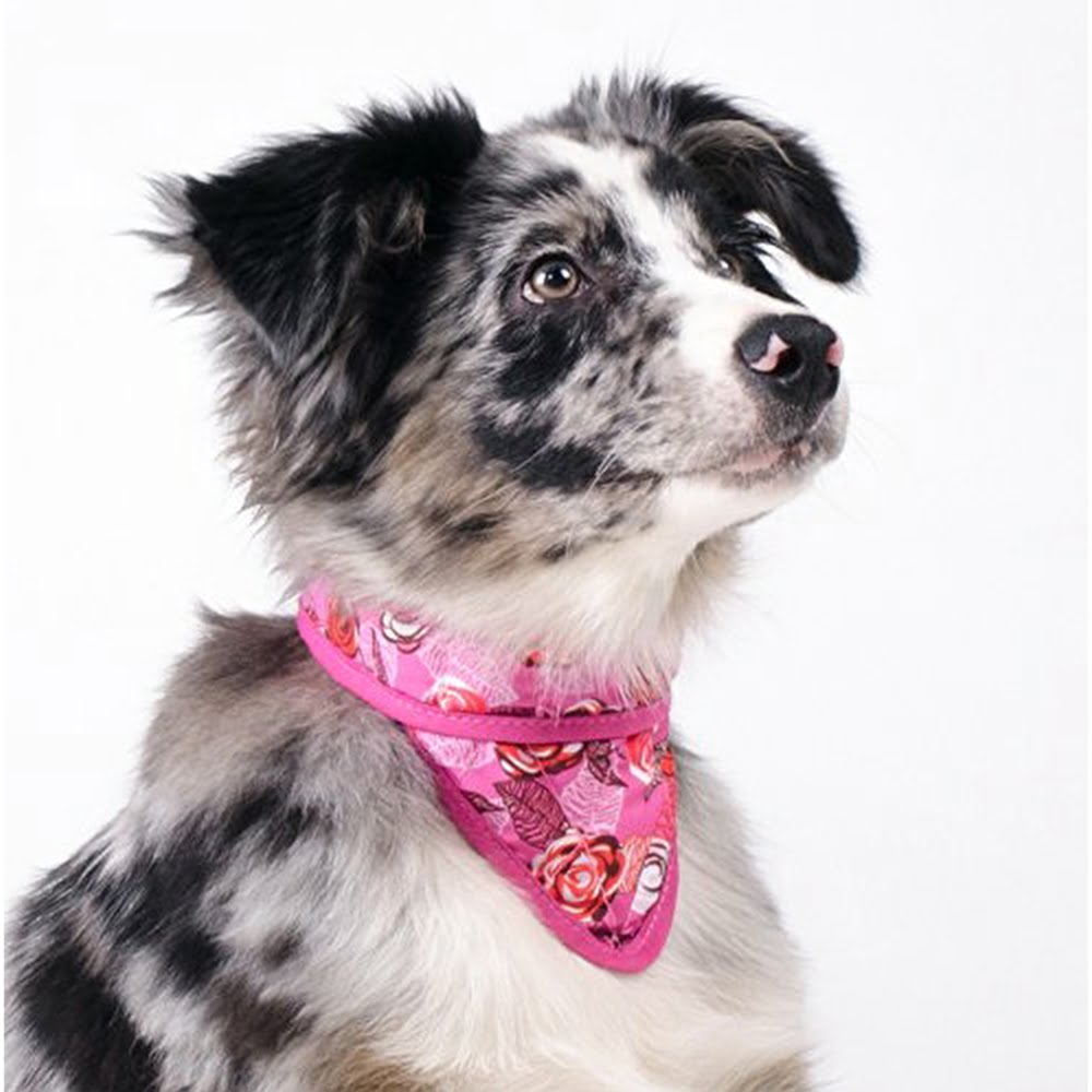 Aqua Coolkeeper kylbandana - Bild 2