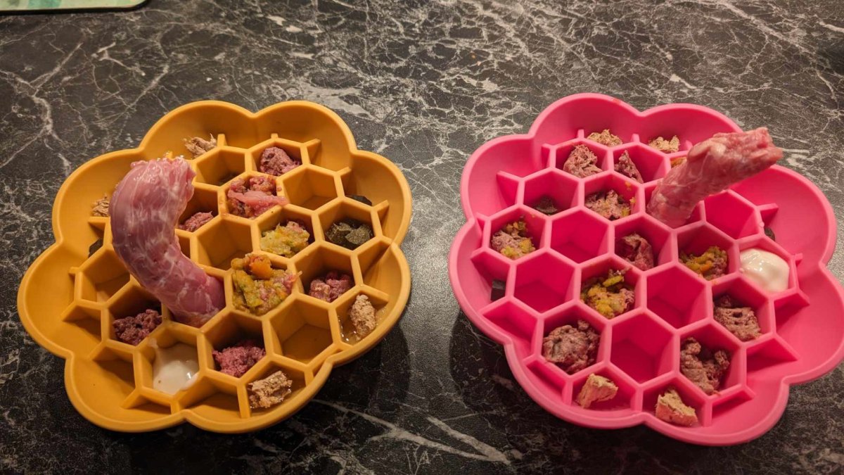 CSiGORA Honey Bowl - Bild 6